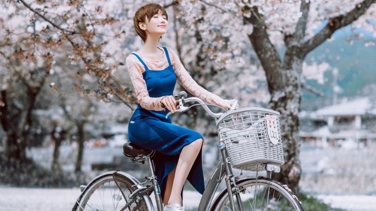 美女明星毛晓彤高清壁纸