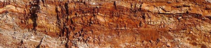 ps怎样制作合成玻璃瓶中唯美好看的绿色生态大自然图片?