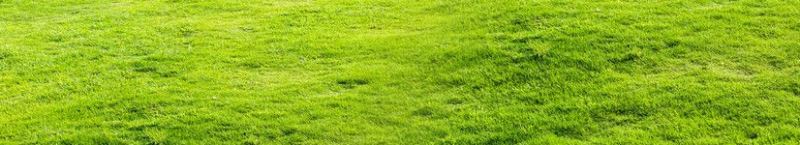 ps怎样制作合成玻璃瓶中唯美好看的绿色生态大自然图片?