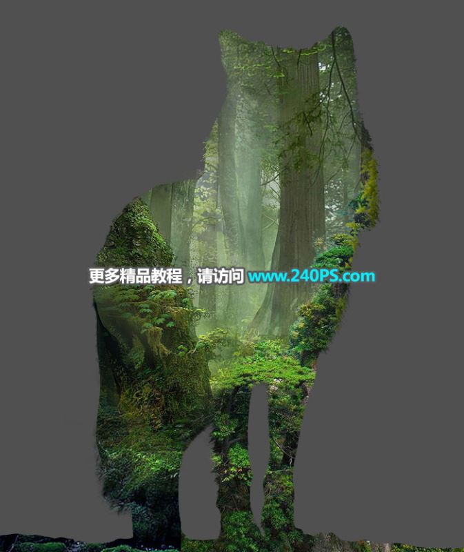 ps怎样制作合成狼与森林结合的二次曝光效果?