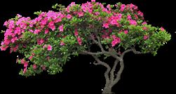 ps创意合成巨大书本中儿童们欢乐踏春的图片教程