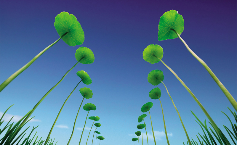 设计师如何通过脑洞训练解决创意问题