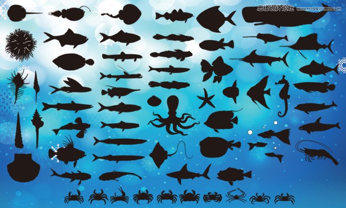 各种各样的海洋鱼类PS形状