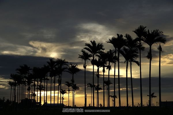 如何拍摄早晨和黄昏的光景