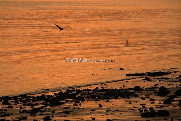 如何拍摄早晨和黄昏的光景