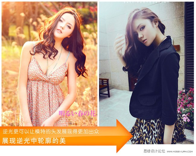 摄影技巧之逆光摄影的魅力