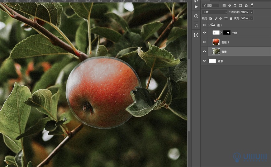 Photoshop调出磨砂主题风格的苹果