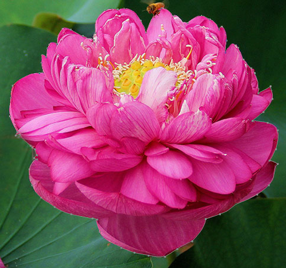 Photoshop使用多边形套索与磁性套索工具抠图教程