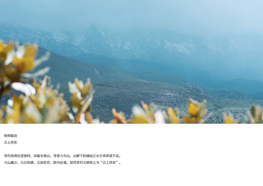 精选昔归古树茶包装设计欣赏