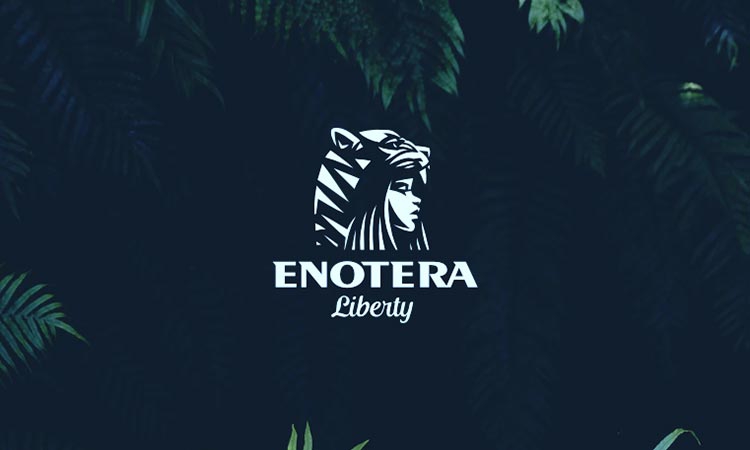 25款人物主题风格LOGO设计欣赏