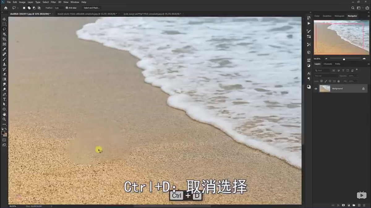 Photoshop合成海边海龟和被掀起的海浪场景