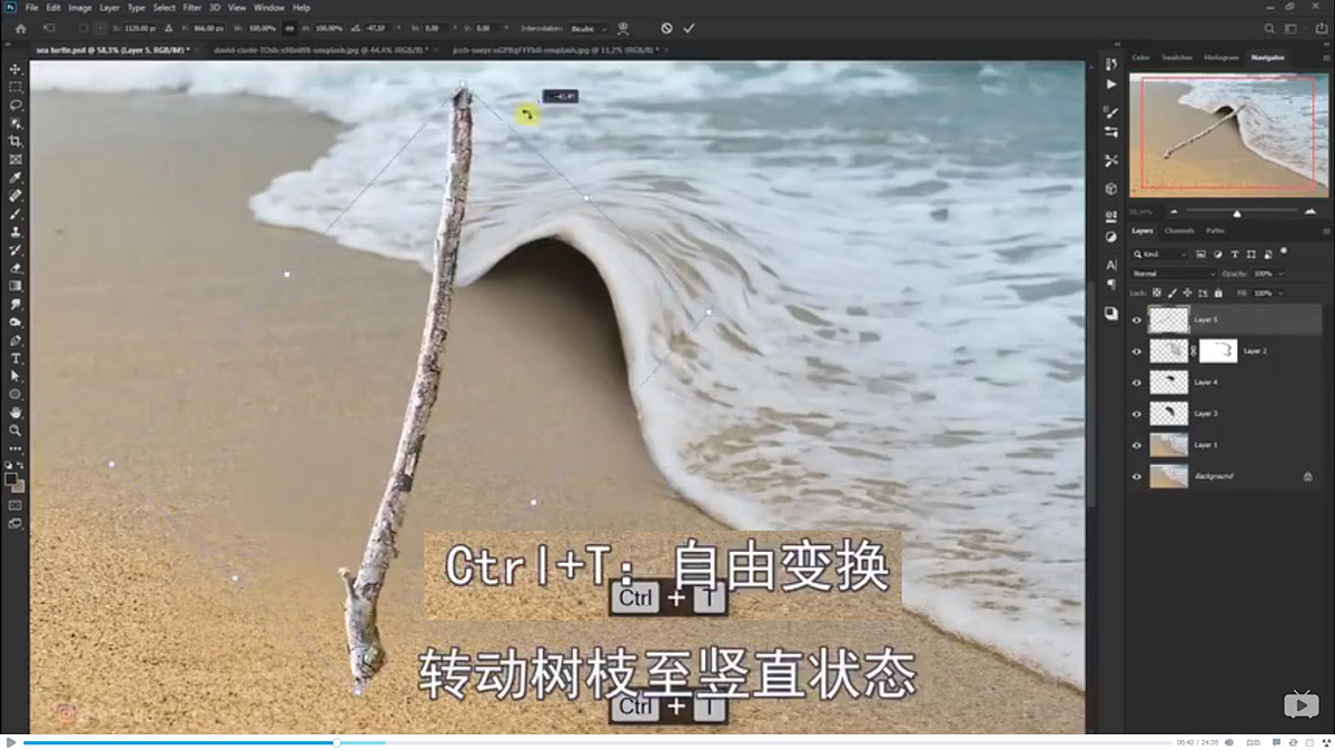 Photoshop合成海边海龟和被掀起的海浪场景