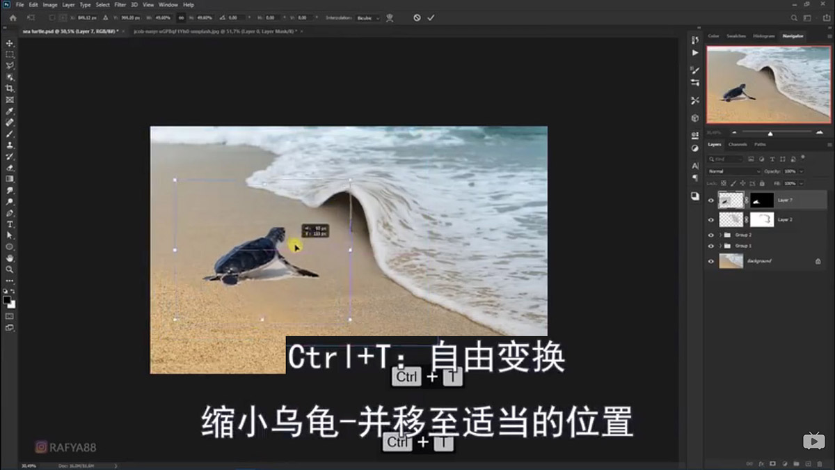 Photoshop合成海边海龟和被掀起的海浪场景