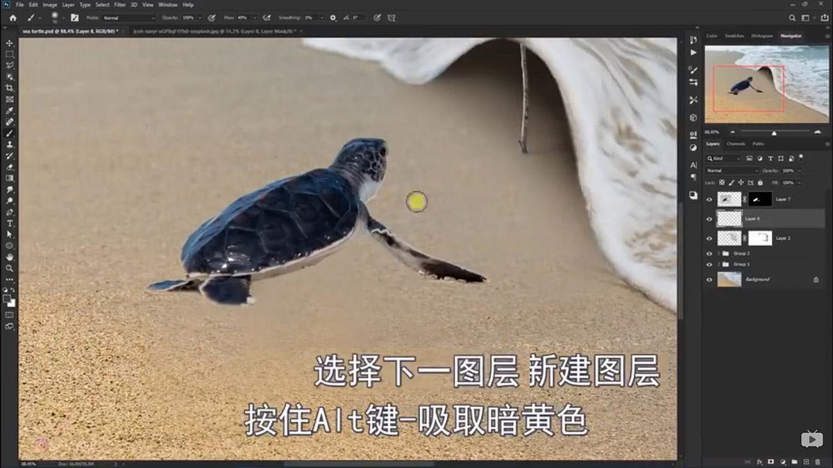 Photoshop合成海边海龟和被掀起的海浪场景