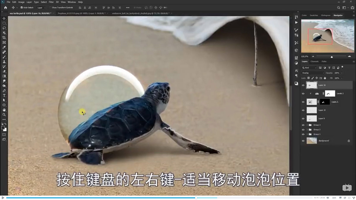 Photoshop合成海边海龟和被掀起的海浪场景