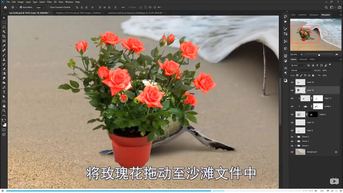 Photoshop合成海边海龟和被掀起的海浪场景