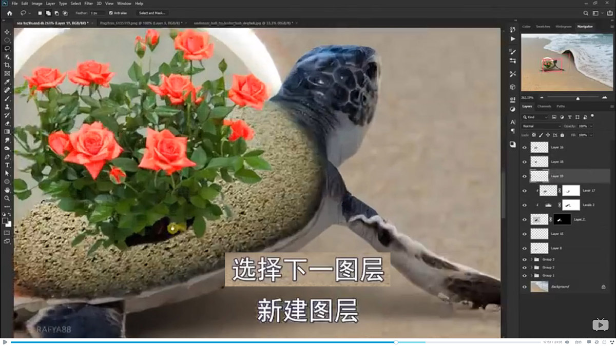 Photoshop合成海边海龟和被掀起的海浪场景