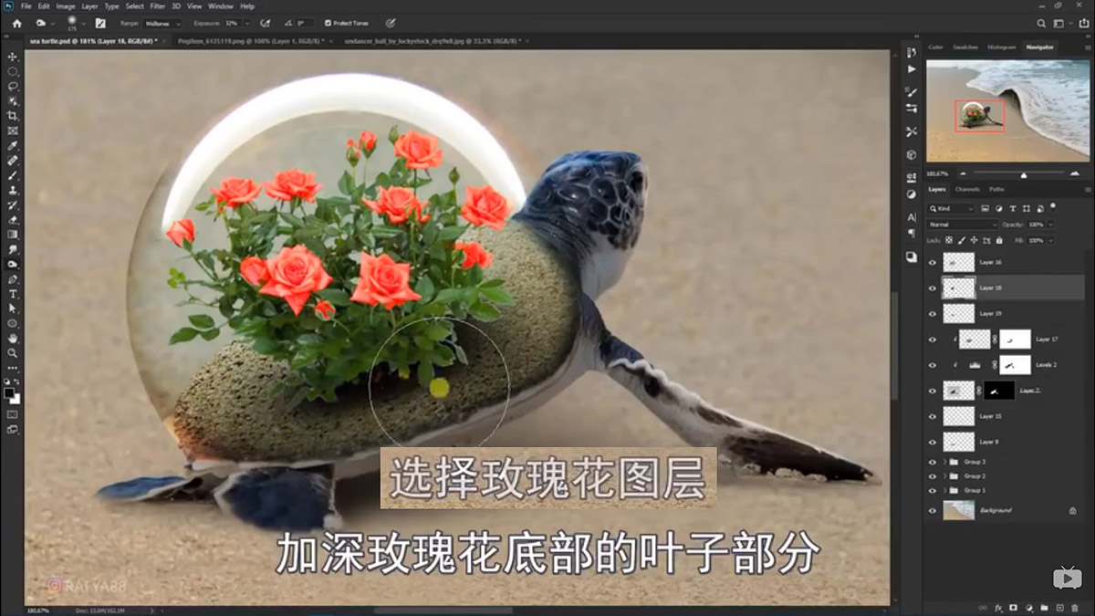 Photoshop合成海边海龟和被掀起的海浪场景