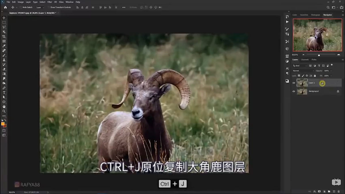 Photoshop合成魔幻主题的发光山羊