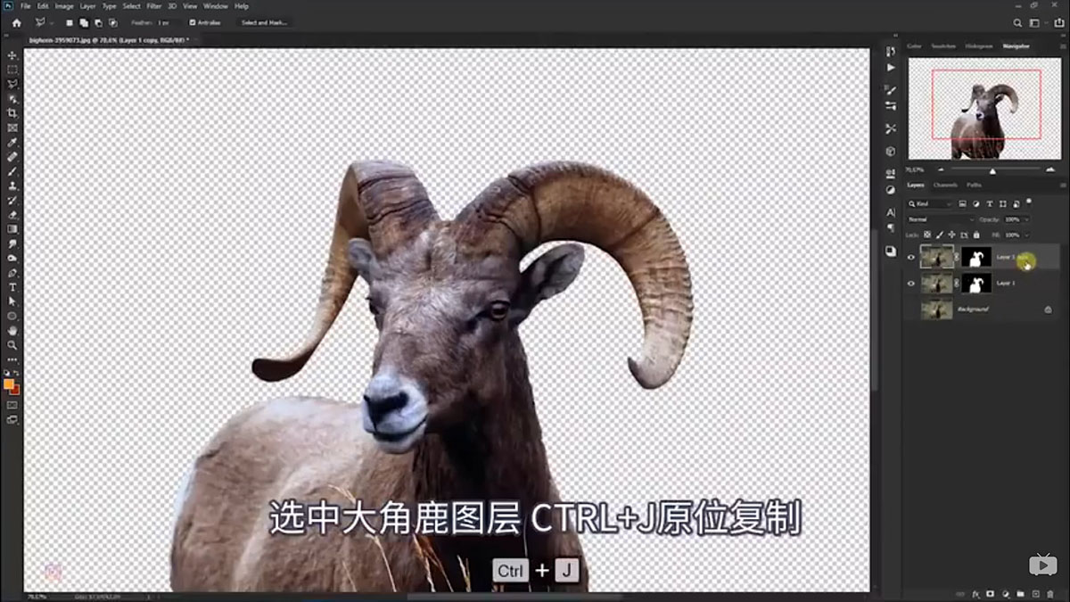 Photoshop合成魔幻主题的发光山羊