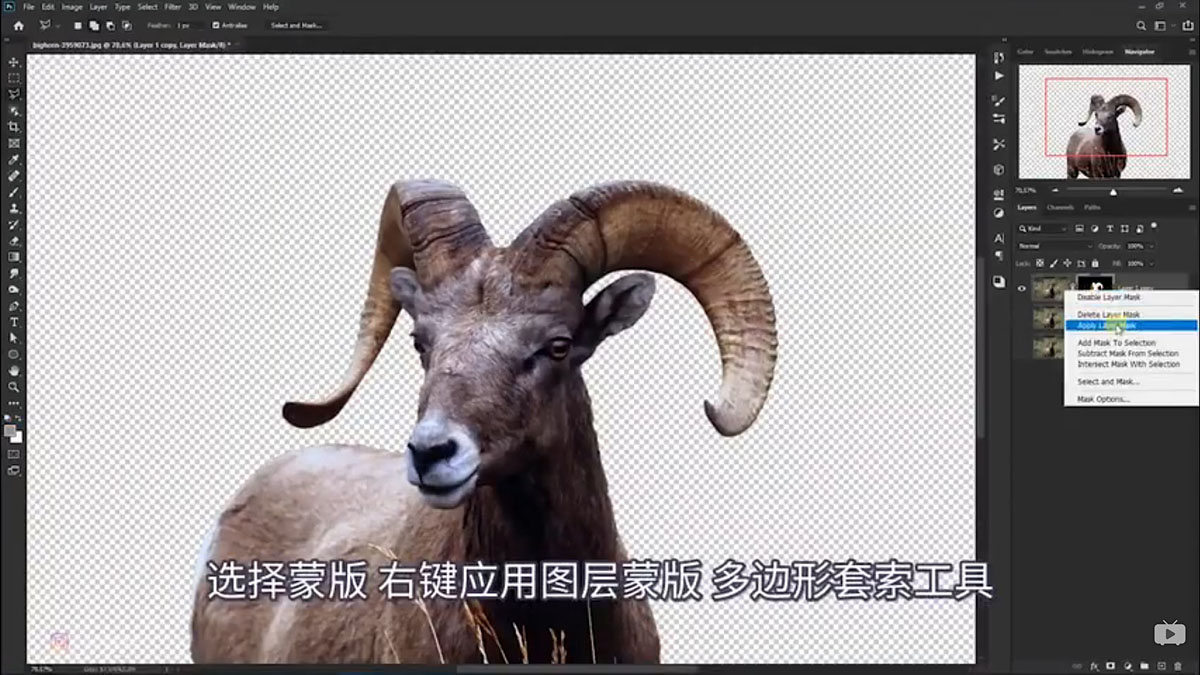 Photoshop合成魔幻主题的发光山羊