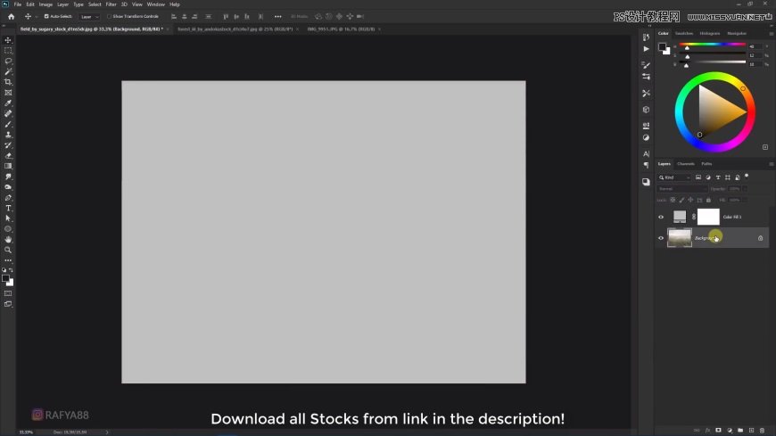 Photoshop创意合成森林中的新娘和鸟笼