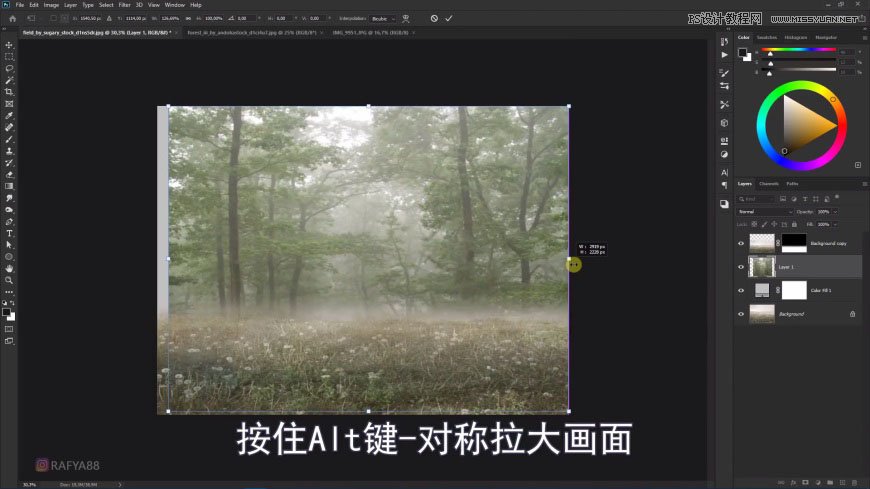 Photoshop创意合成森林中的新娘和鸟笼