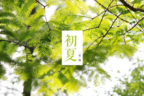 给后期摄影作品加上文字装饰的方法教程