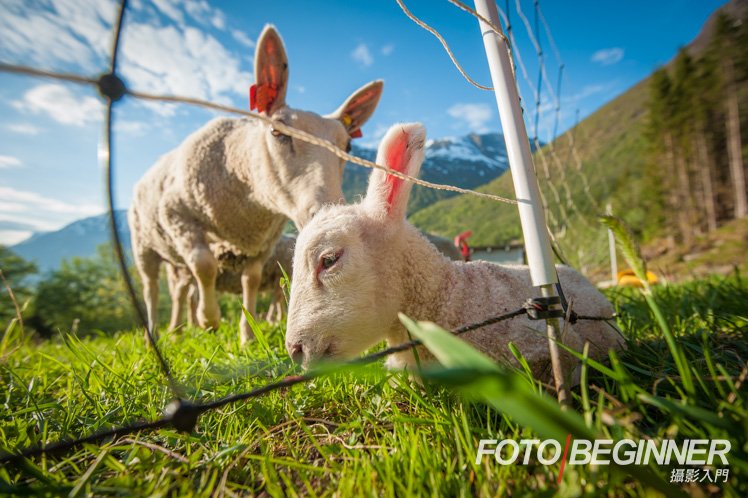 摄影师如何让自己的作品增加趣味性