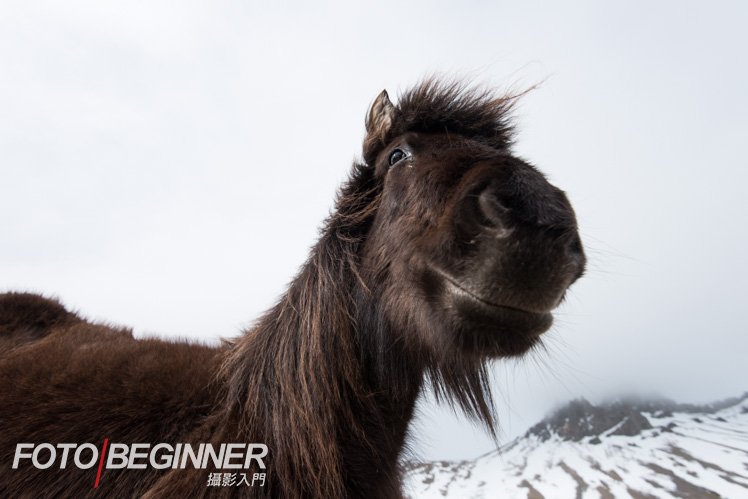 摄影师如何让自己的作品增加趣味性