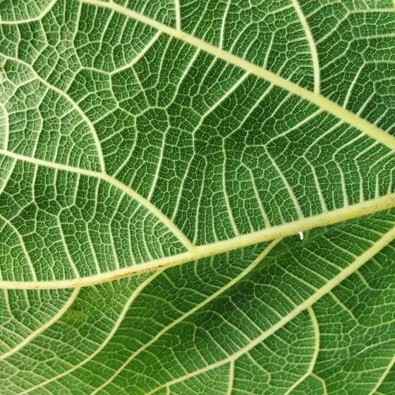 10个摄影技巧拍出高逼格的摄影作品