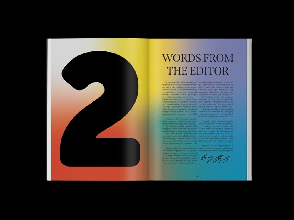 精选国外优秀Cozy杂志版式设计欣赏