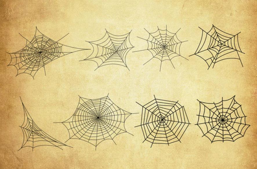 手绘蜘蛛网笔刷