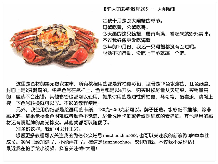 彩色铅笔画之手绘美食大闸蟹