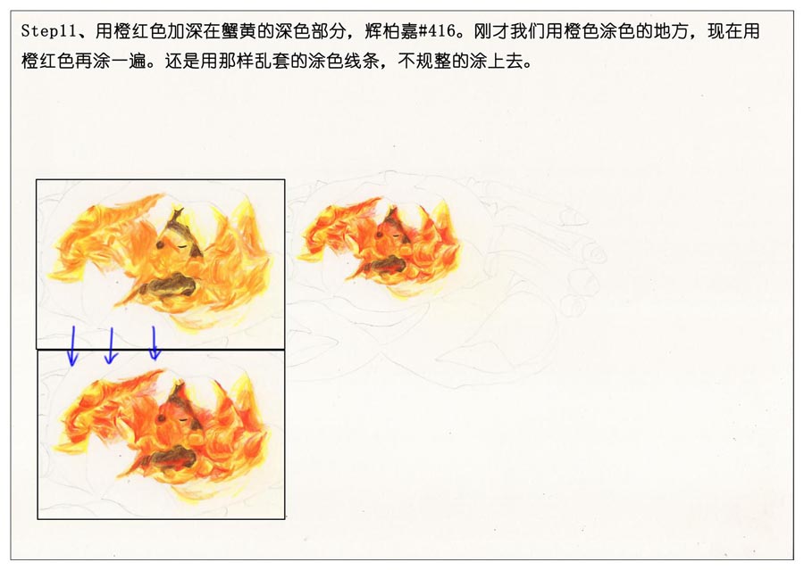 彩色铅笔画之手绘美食大闸蟹