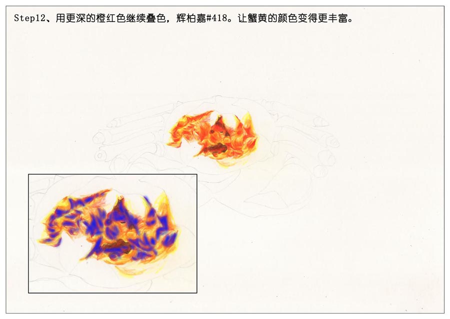 彩色铅笔画之手绘美食大闸蟹