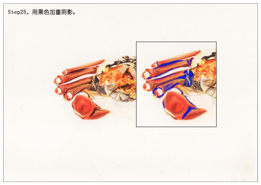 彩色铅笔画之手绘美食大闸蟹