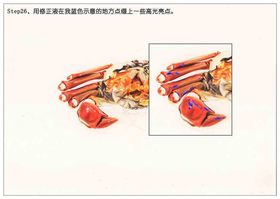 彩色铅笔画之手绘美食大闸蟹