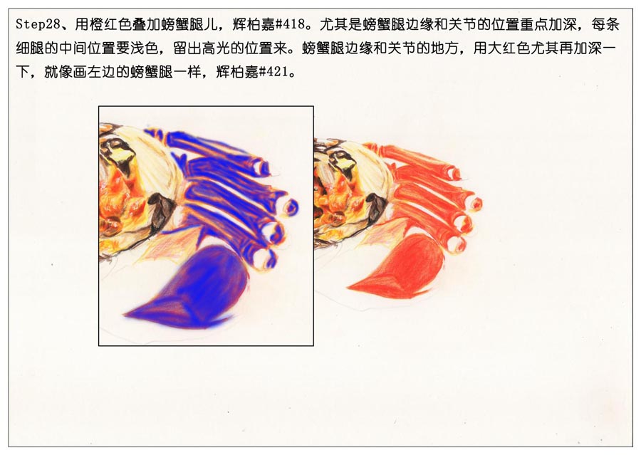 彩色铅笔画之手绘美食大闸蟹