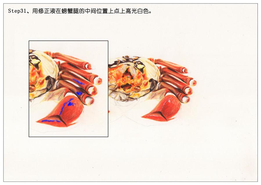 彩色铅笔画之手绘美食大闸蟹