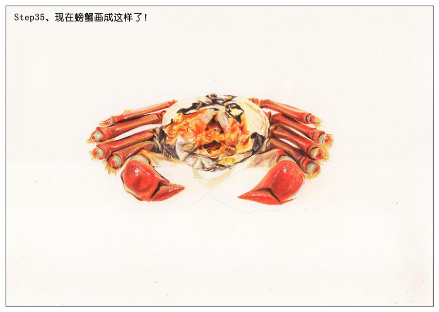 彩色铅笔画之手绘美食大闸蟹