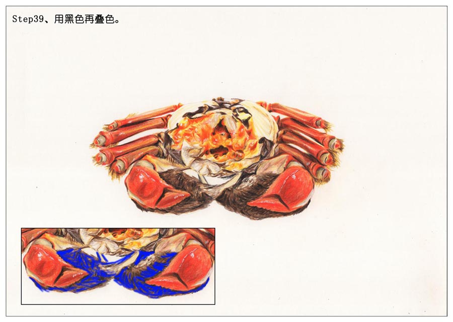 彩色铅笔画之手绘美食大闸蟹