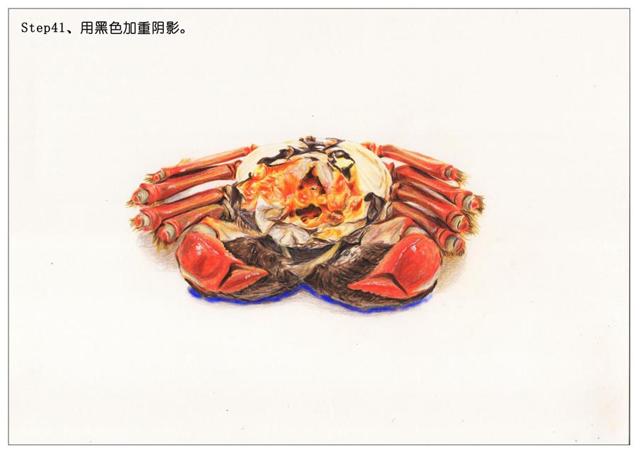 彩色铅笔画之手绘美食大闸蟹