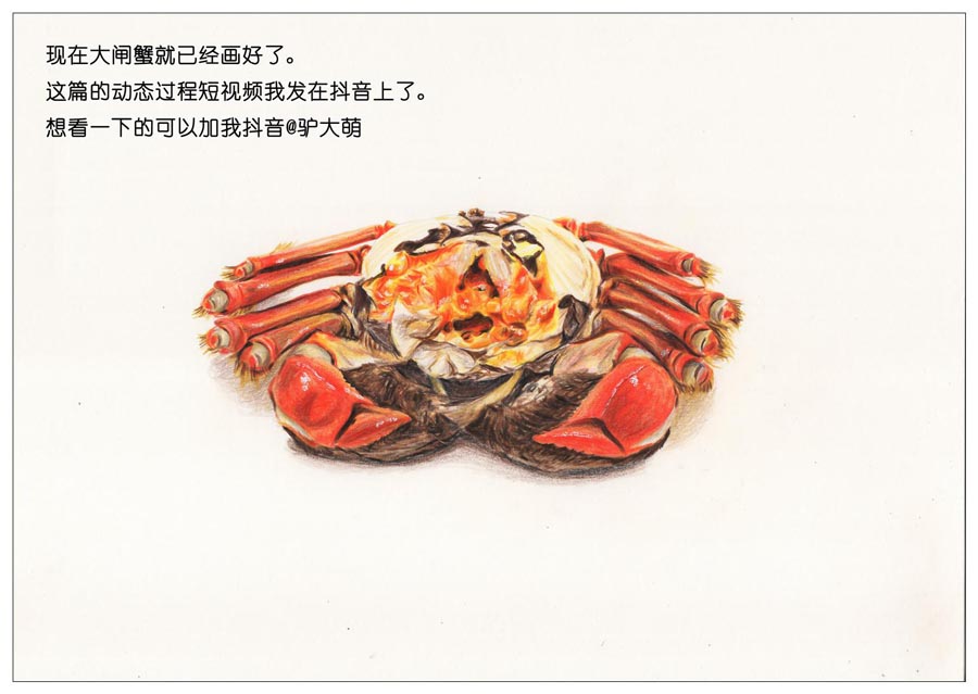 彩色铅笔画之手绘美食大闸蟹