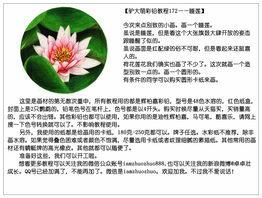 彩色铅笔画之鲜艳荷花荷叶