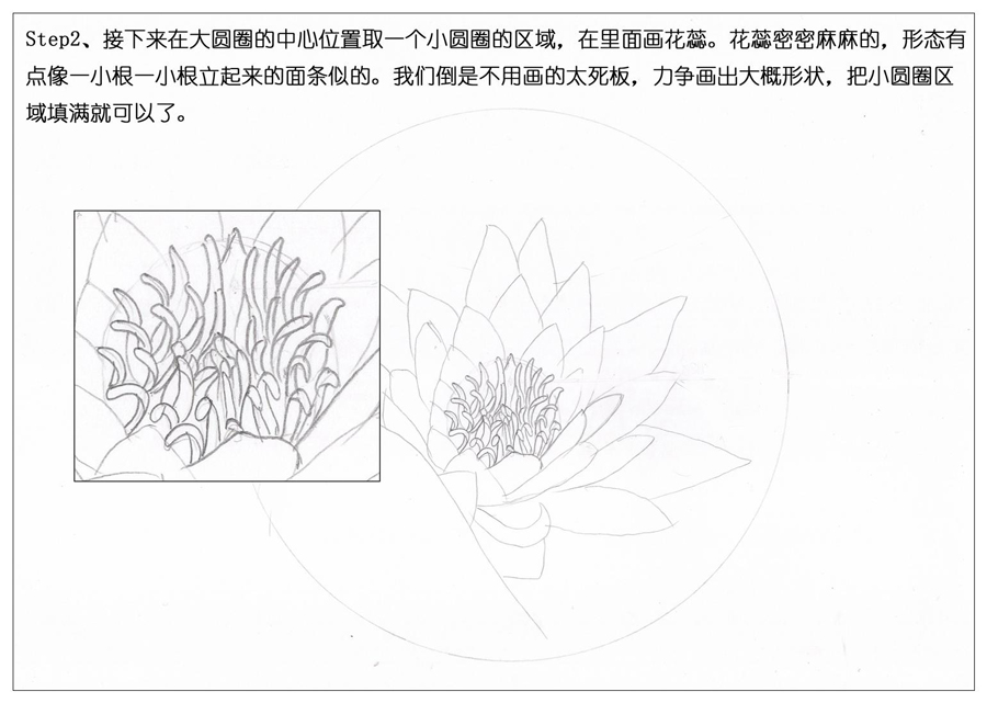 彩色铅笔画之鲜艳荷花荷叶