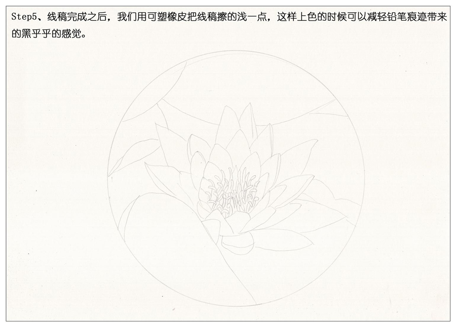 彩色铅笔画之鲜艳荷花荷叶