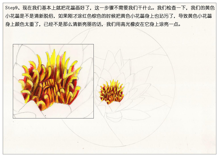 彩色铅笔画之鲜艳荷花荷叶