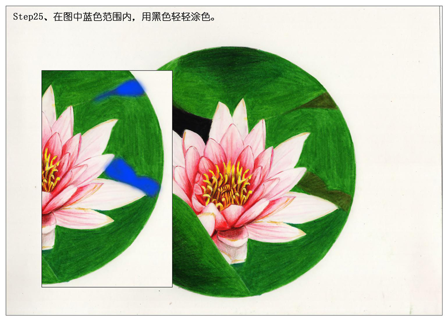 彩色铅笔画之鲜艳荷花荷叶