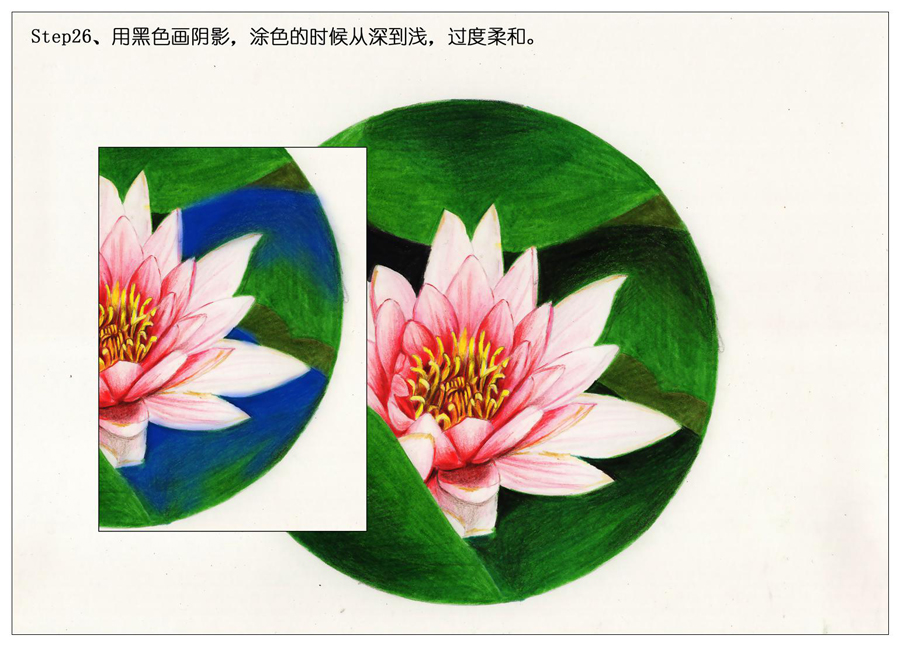 彩色铅笔画之鲜艳荷花荷叶